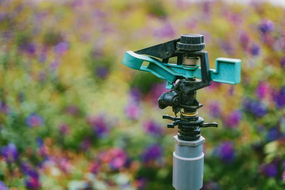 Tête d’arrosage automatique en fonction parmi des fleurs colorées